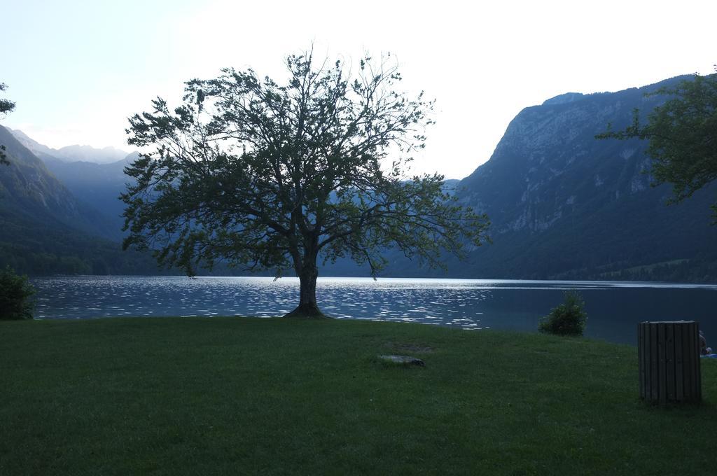Apartment Brumec Bohinj Bagian luar foto